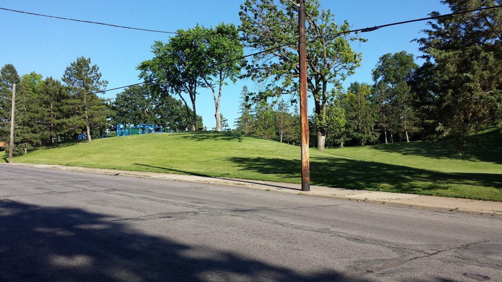 The Audubon Park Neighborhood A First Pass Streets.mn