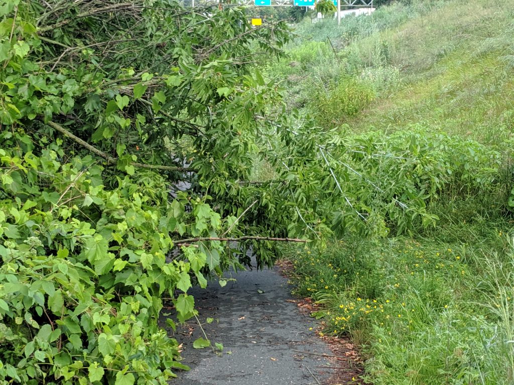 Fish Hatchery Trail a Final Update Streets.mn